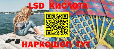 шишки Можга