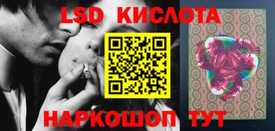 шишки Можга