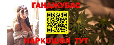 шишки Можга