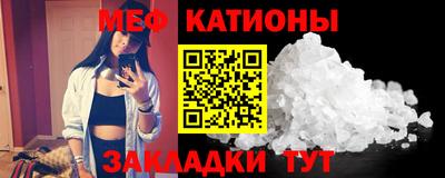 шишки Можга